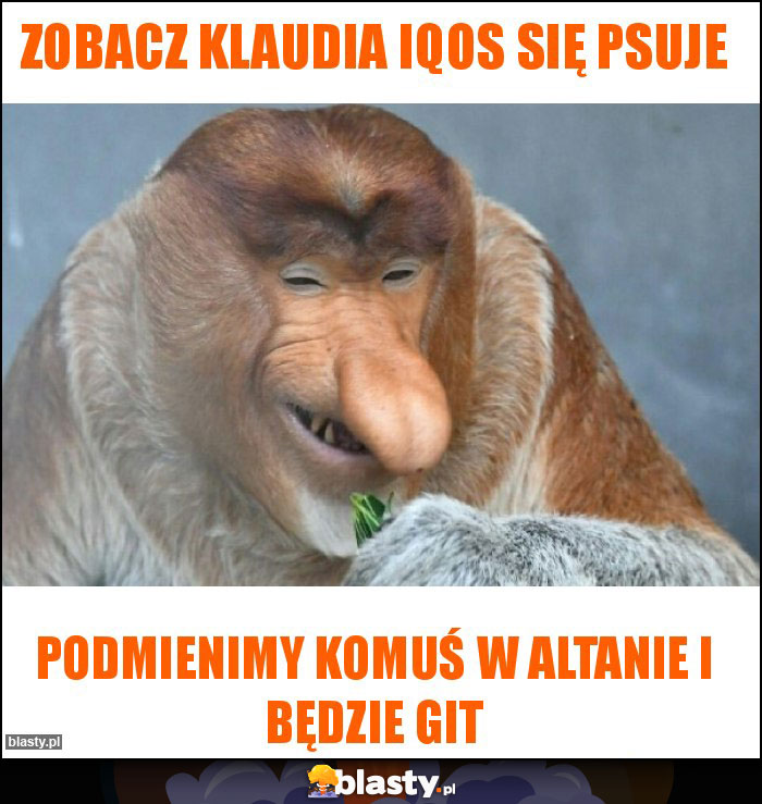 Zobacz Klaudia Iqos się psuje