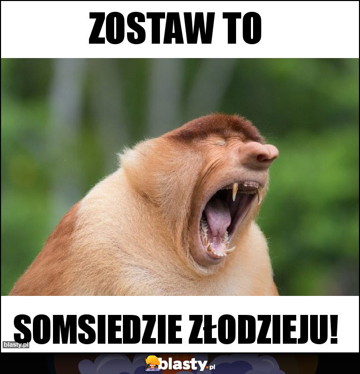 Zostaw to