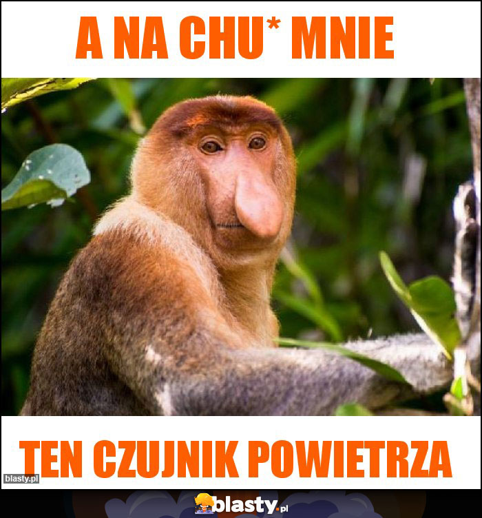 A na chu* mnie