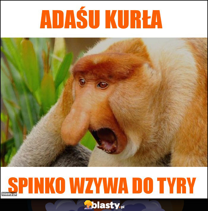 ADAŚU KURŁA