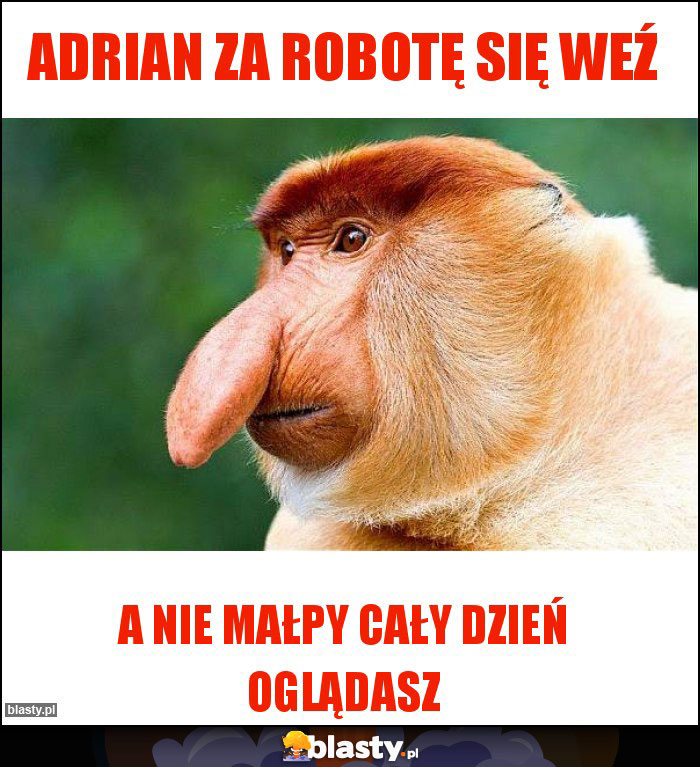 Adrian za robotę się weź