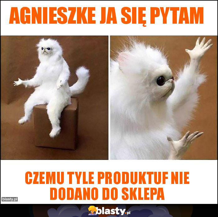 Agnieszke ja się pytam