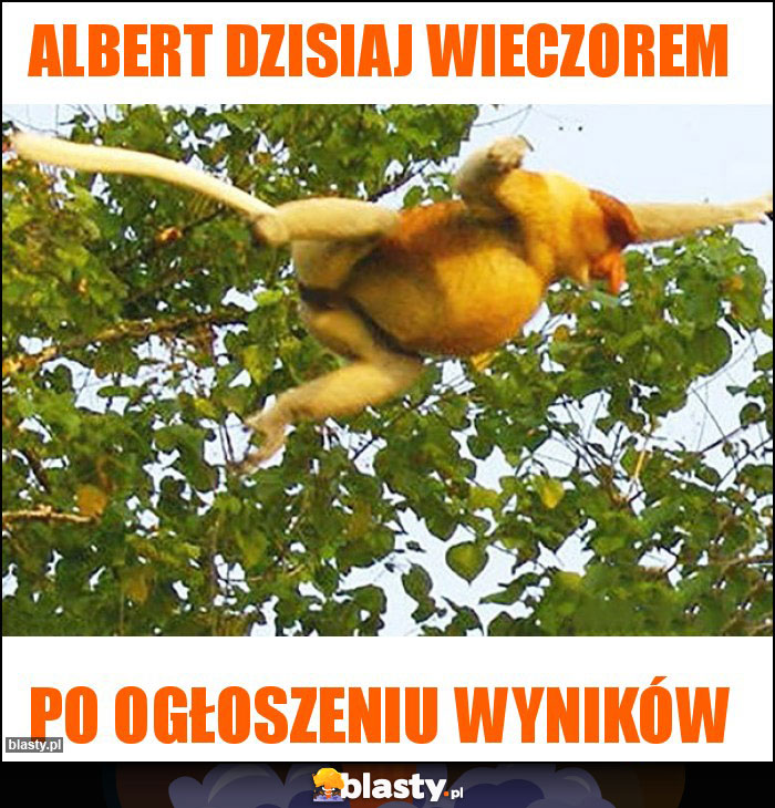 Albert dzisiaj wieczorem