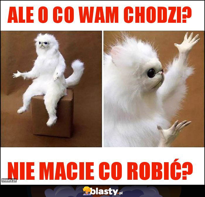 Ale o co Wam chodzi?