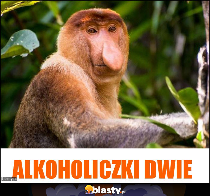 Alkoholiczki dwie