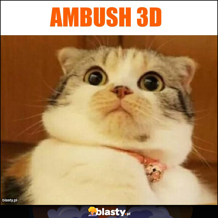 Ambush 3D