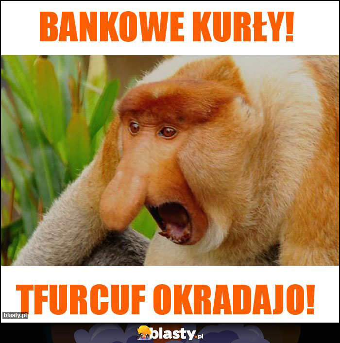 Bankowe Kurły!