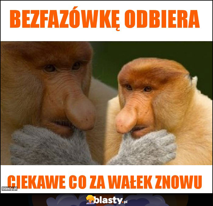 bezfazówkę odbiera