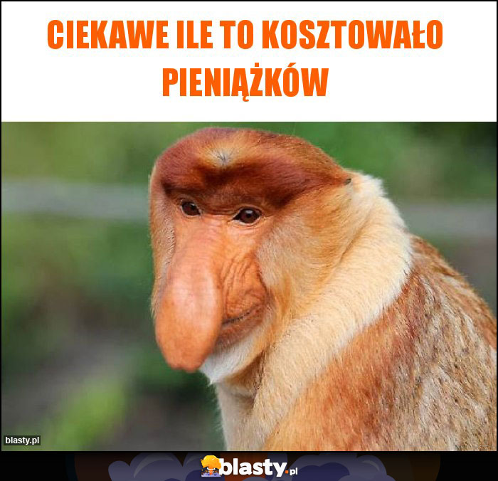 CIEKAWE ILE TO KOSZTOWAŁO PIENIĄŻKÓW