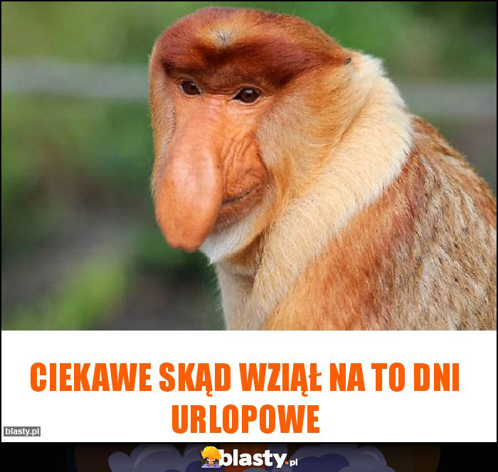 CIEKAWE SKĄD WZIĄŁ NA TO DNI URLOPOWE