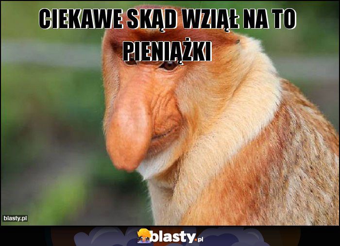 CIEKAWE SKĄD WZIĄŁ NA TO PIENIĄŻKI