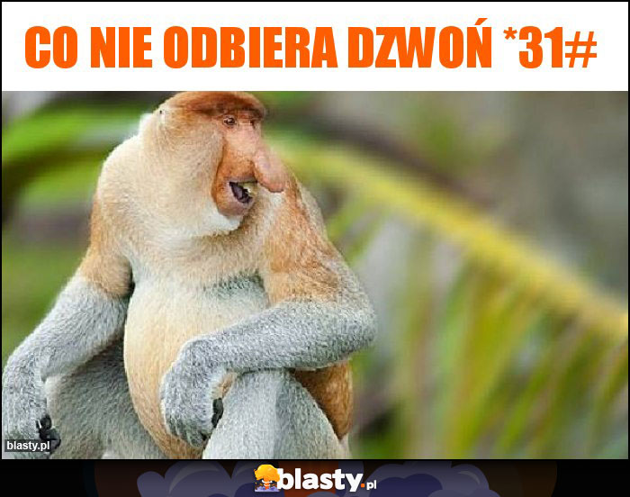 Co nie odbiera dzwoń *31#