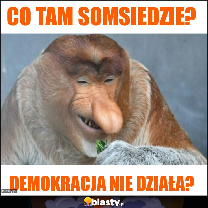 Co tam somsiedzie?