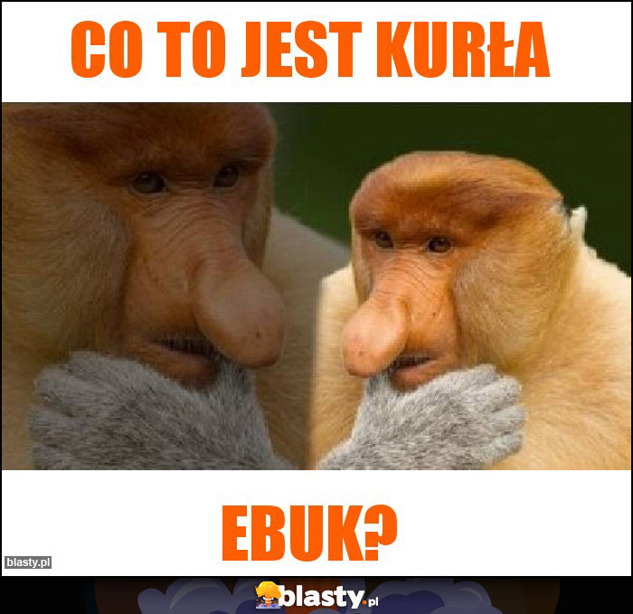 Co to jest kurła