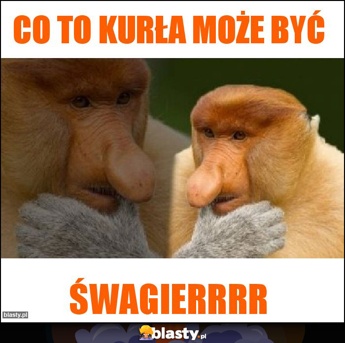 Co to kurła może być