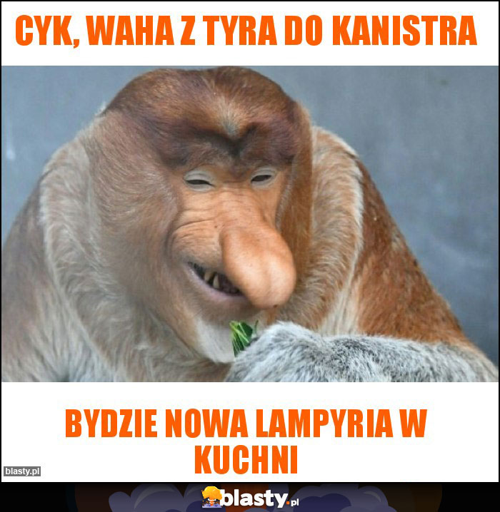 Cyk, waha z tyra do kanistra