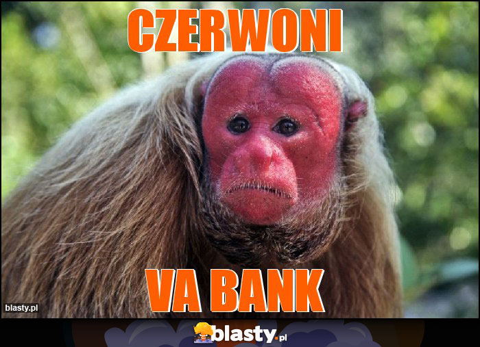 Czerwoni