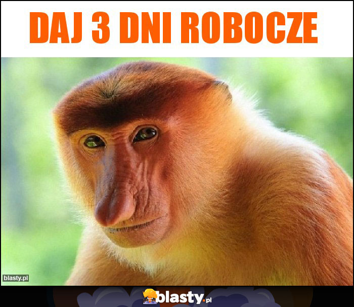 Daj 3 dni robocze