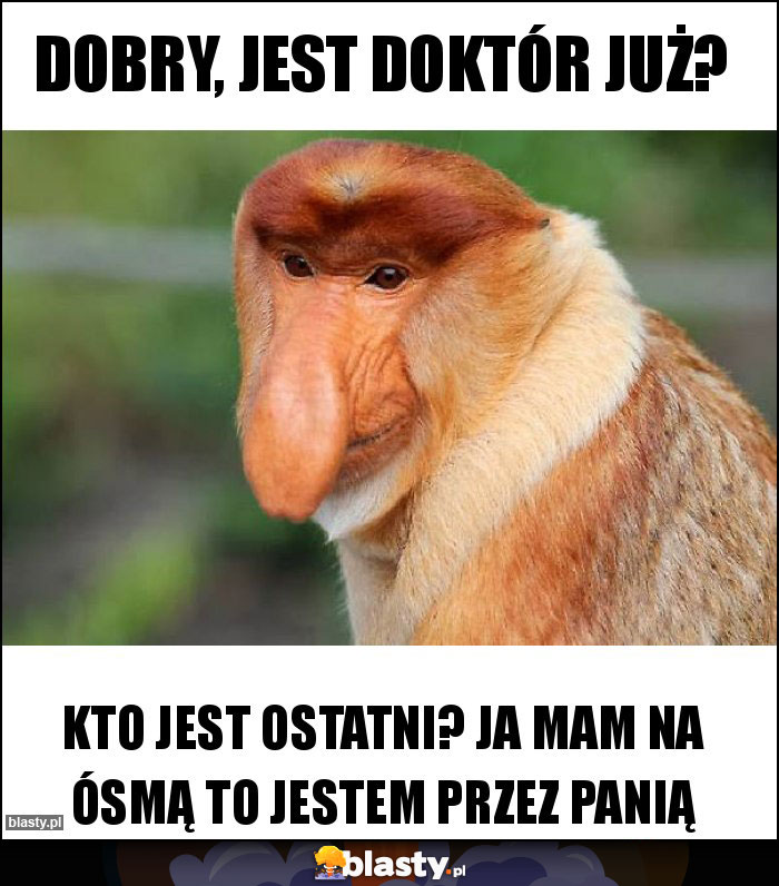 DOBRY, JEST DOKTÓR JUŻ?