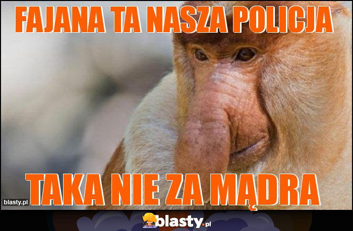 Fajana ta nasza policja