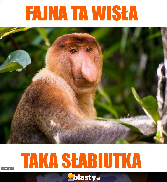 Fajna ta Wisła