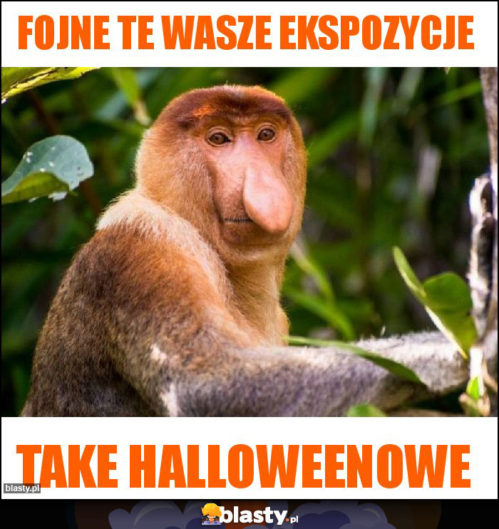 FOJNE te wasze ekspozycje