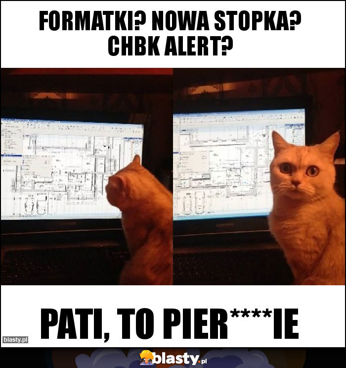 Formatki? Nowa stopka? CHBK alert?