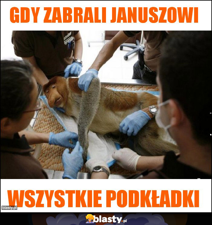 Gdy zabrali Januszowi