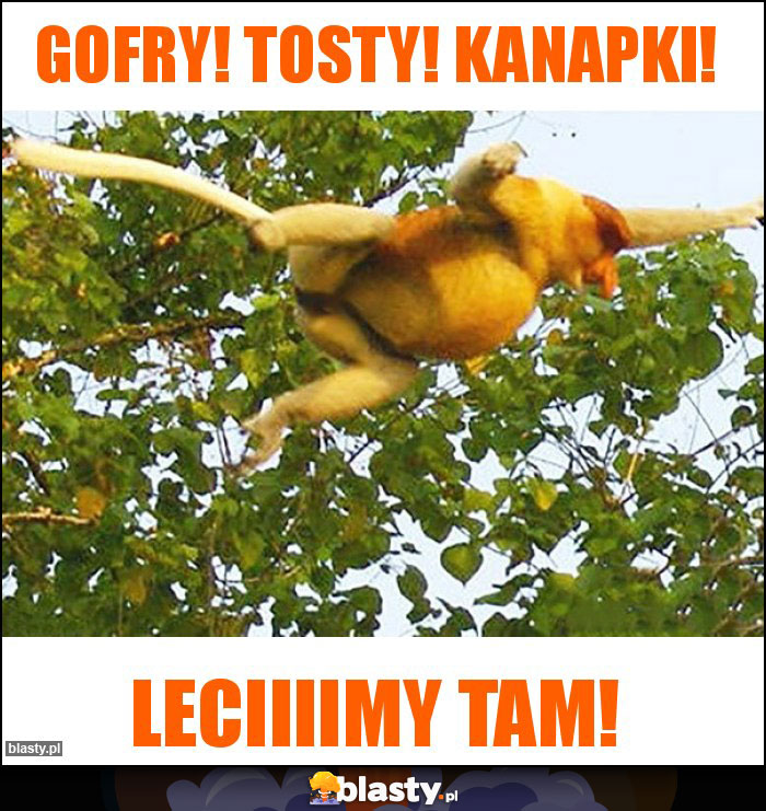 Gofry! Tosty! Kanapki!