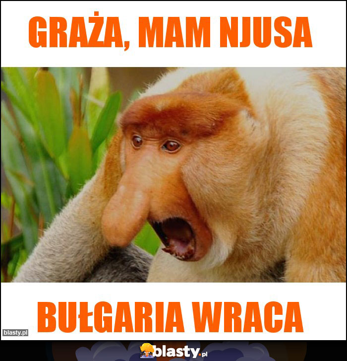 Graża, mam njusa