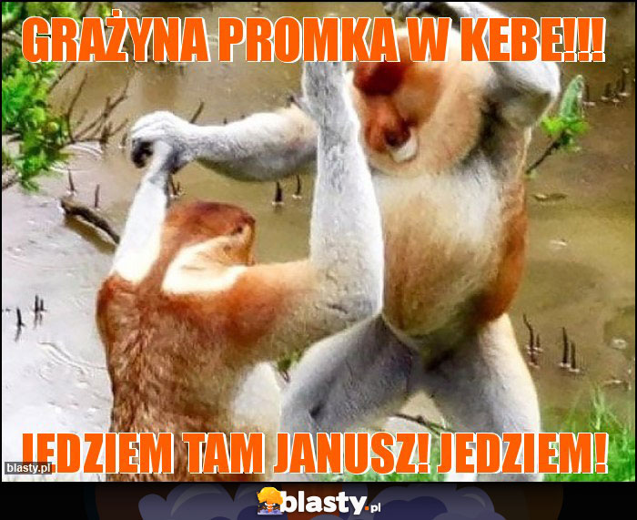 GRAŻYNA PROMKA W KEBE!!!