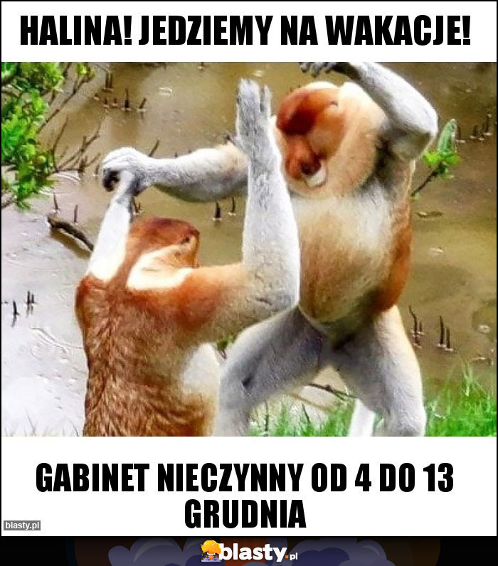 Halina! Jedziemy na wakacje!