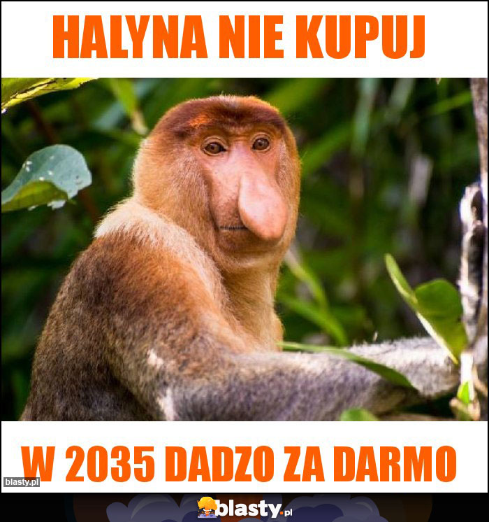 Halyna nie kupuj