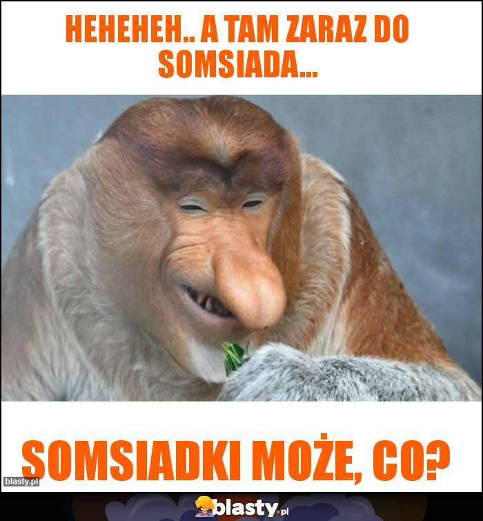 Heheheh.. A tam zaraz do somsiada...