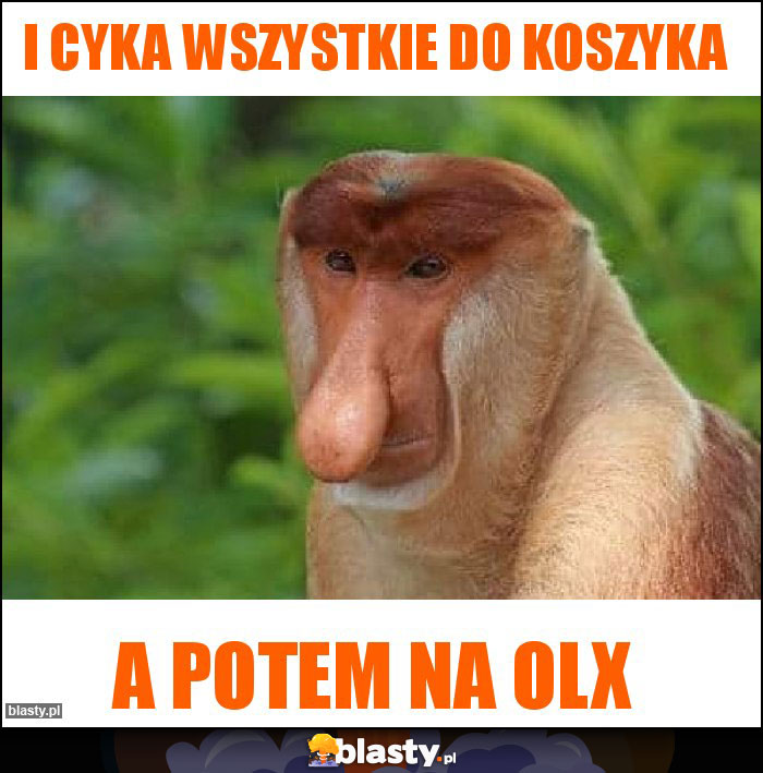 i cyka wszystkie do koszyka