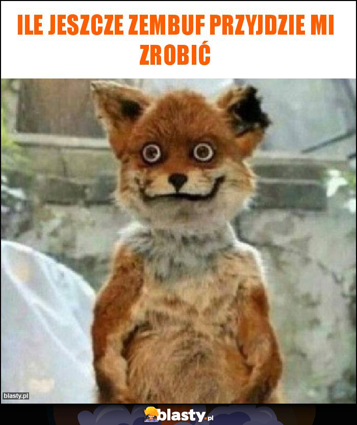 Ile jeszcze zembuf przyjdzie mi zrobić