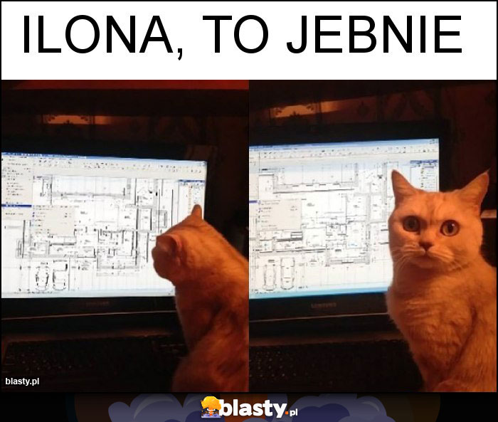 Ilona, to jebnie