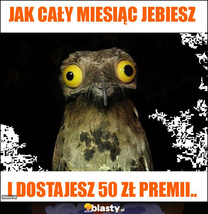 JAK CAŁY MIESIĄC JEBIESZ