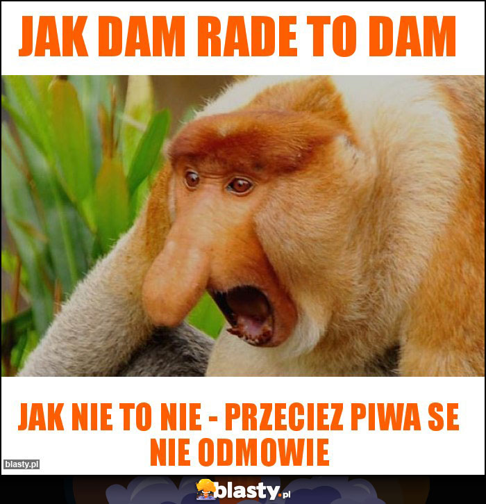 JAK DAM RADE TO DAM