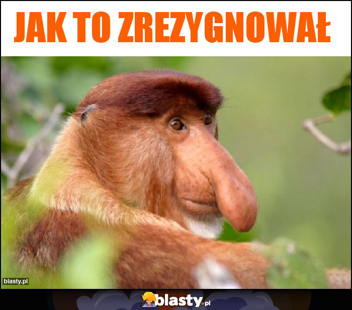 Jak to zrezygnował