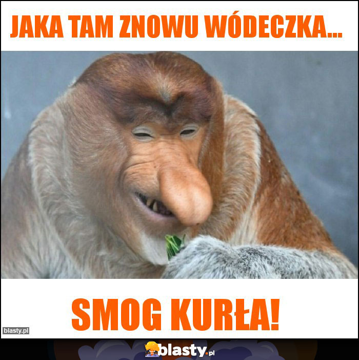 Jaka tam znowu wódeczka...