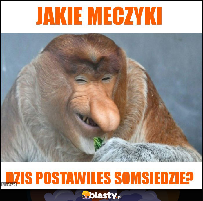 Jakie meczyki