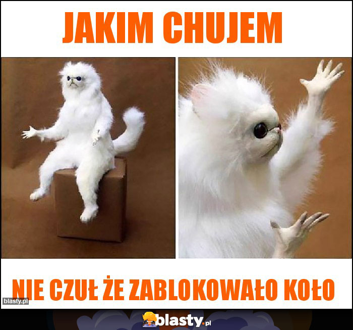 Jakim chujem