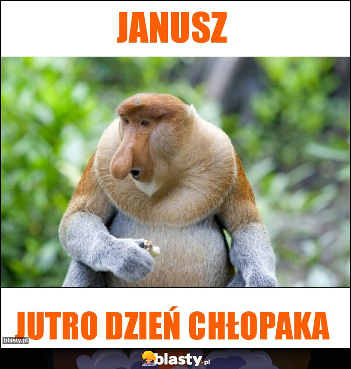 Janusz