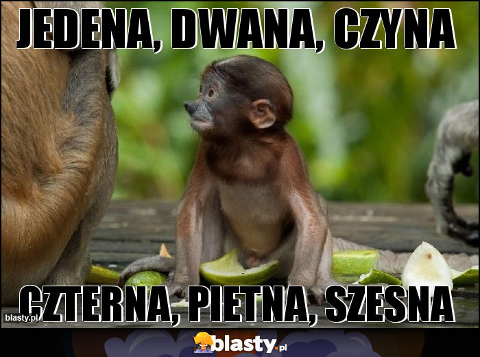 jedena, dwana, czyna