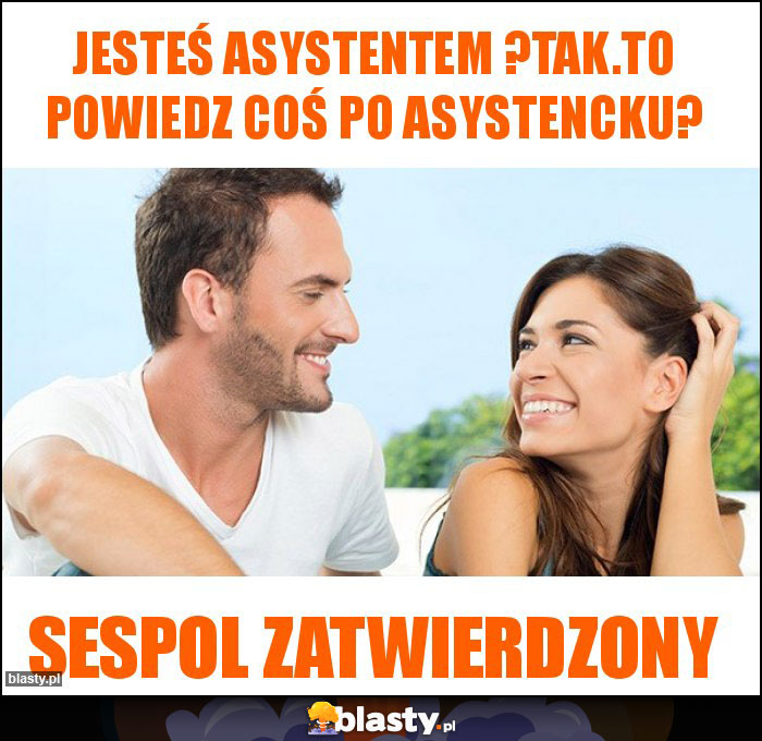 Jesteś asystentem ?Tak.To powiedz coś po asystencku?