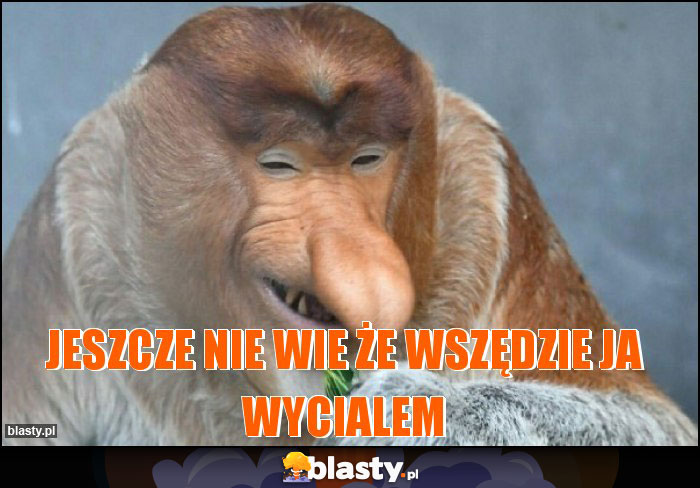 Jeszcze nie wie że wszędzie ja wycialem