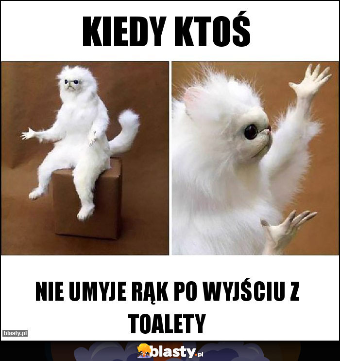 kiedy ktoś