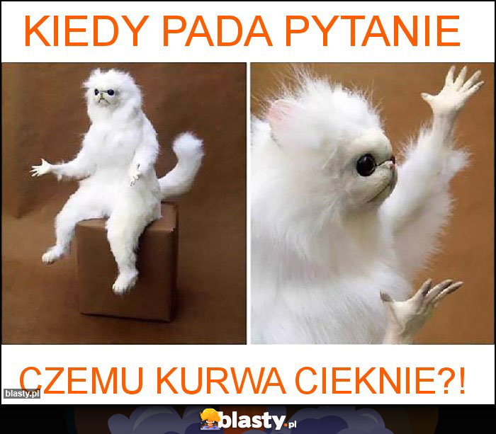 KIEDY PADA PYTANIE