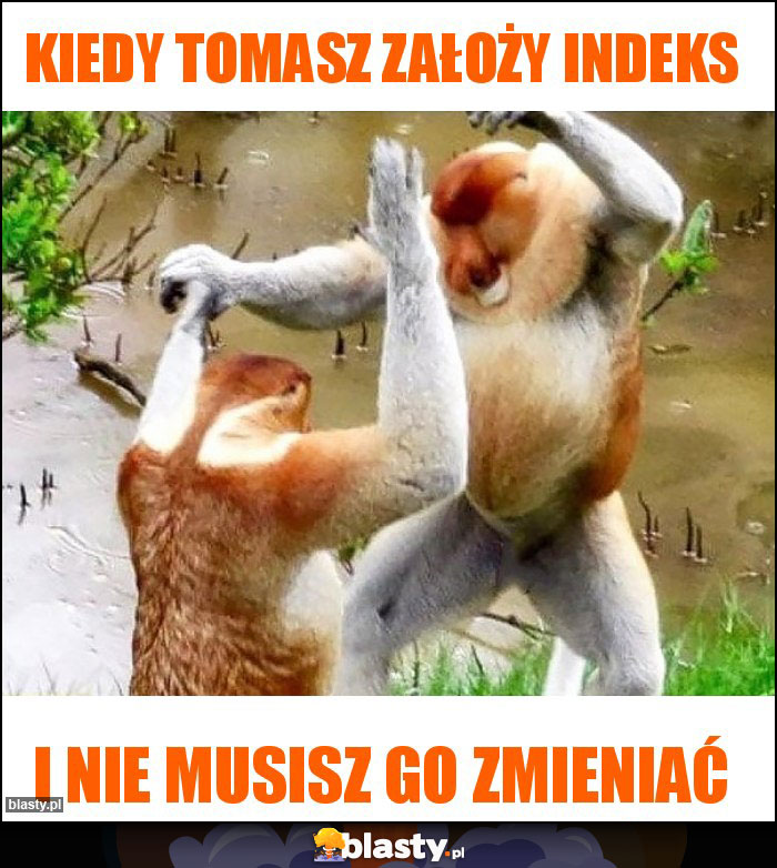 Kiedy Tomasz założy indeks